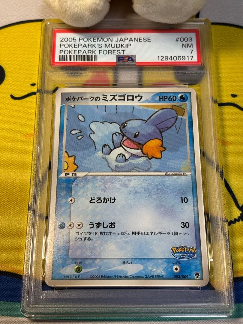 Pokemon Mudkip PokePark Forest #003 Japanese PSA 7