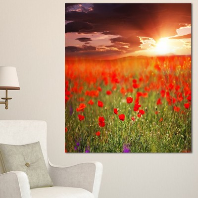 Wild Poppy Flowers At Cloudy Sunset - Large Flower Wall  Mini