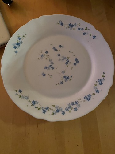 6 ASSIETTES PLATES Veronica Myosotis Vintage arcopal 23 cm EUR 12,00 - PicClick DE