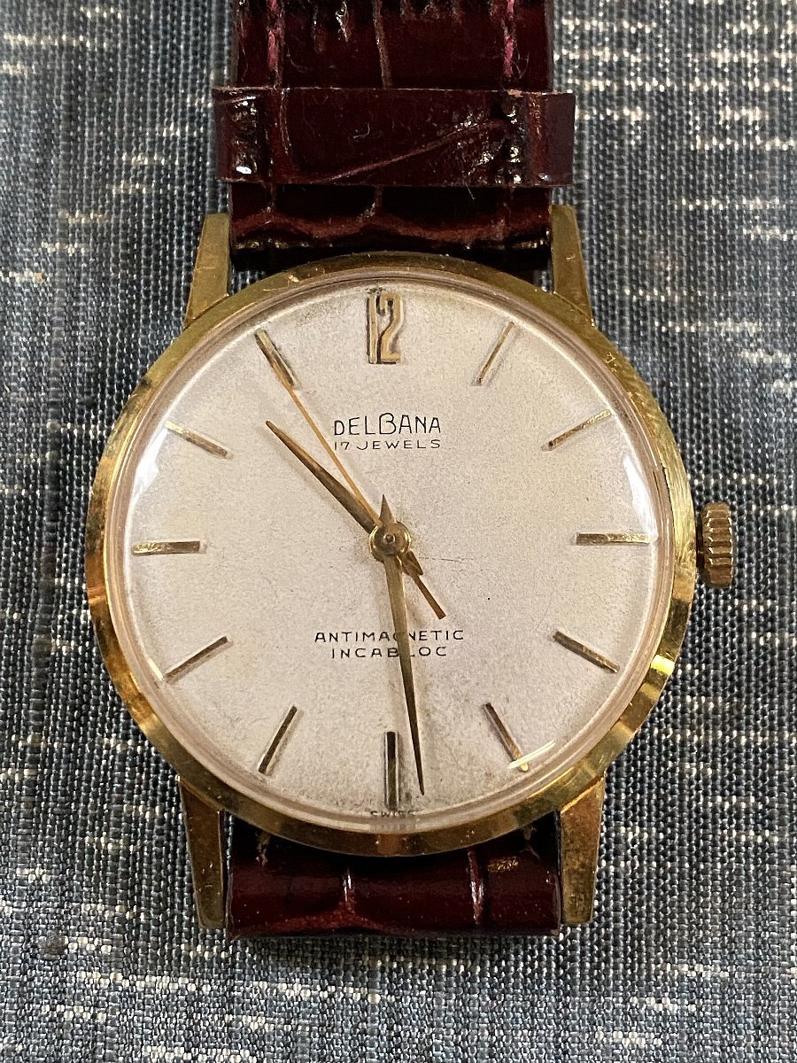Watch Delbana 17 Jewels Anitmagnetic Incabloc Back Stainless Steel