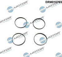 Dr.Motor Automotive DRM01676S Dichtungssatz, AnsaugkrüMmer FüR BMW