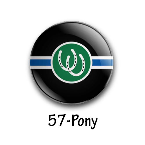 The Original LGBT/LGBTQIA+ 25mm/1 Inch Pride Flag Badges (81 To Choose From) Gay - Picture 58 of 82