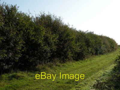 Foto 6x4 Ein weiterer Fußweg nach Great Wilbraham Es gibt zwei Möglichkeiten c2008