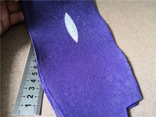 Real Polished Stingray Shagreen Fish Skin Leather Soft Hide Pelt Various colors - Picture 11 of 26