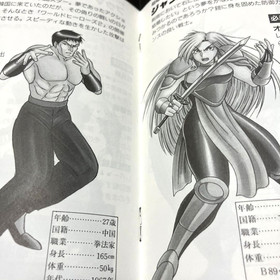 Neo Geo  WORLD HEROES 2  Neogeo AES SNK