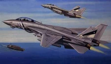 Hobby Boss *HobbyBoss* 1/72 F-14D Super Tomcat #80278 