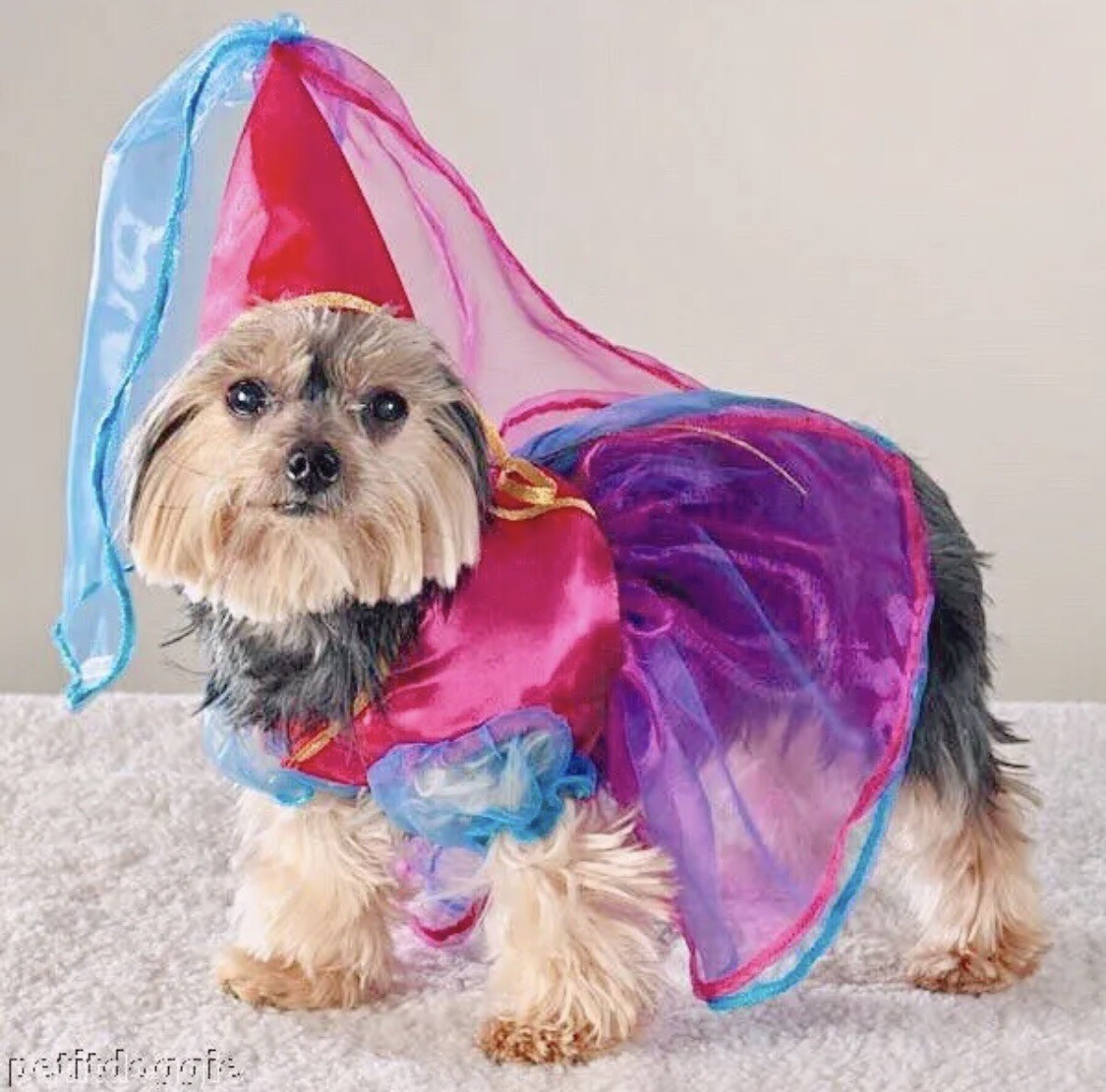 Casual Canine Fairy Princess Costume for Dogs Size XS Halloween