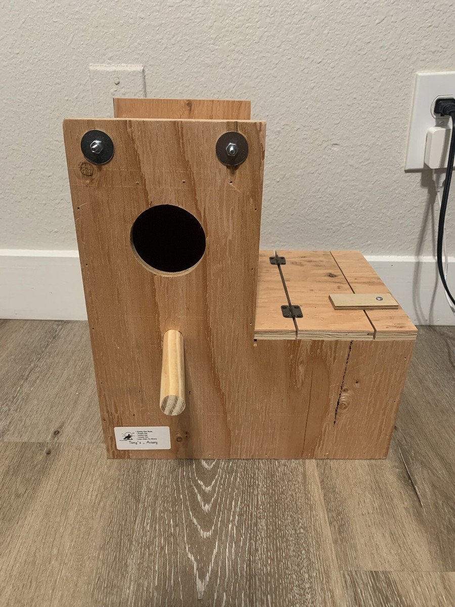 Green Cheek Conure Nest Box 12x12x7 Breeders Nest (right side ) | eBay