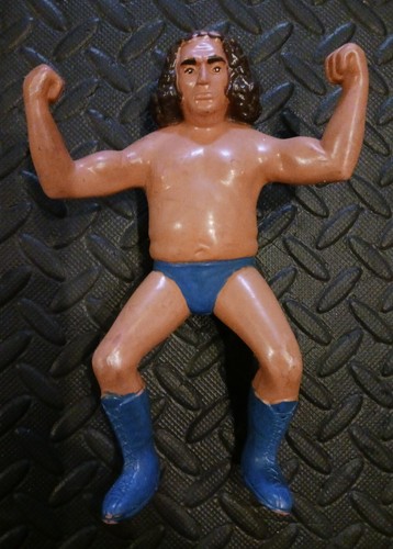 WWF Andre The Giant (Long Hair) Titan Sports 8 LJN...