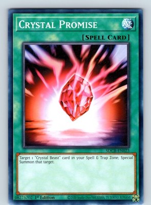 Crystal Promise Common 1st Edition SDCB-EN023 NM