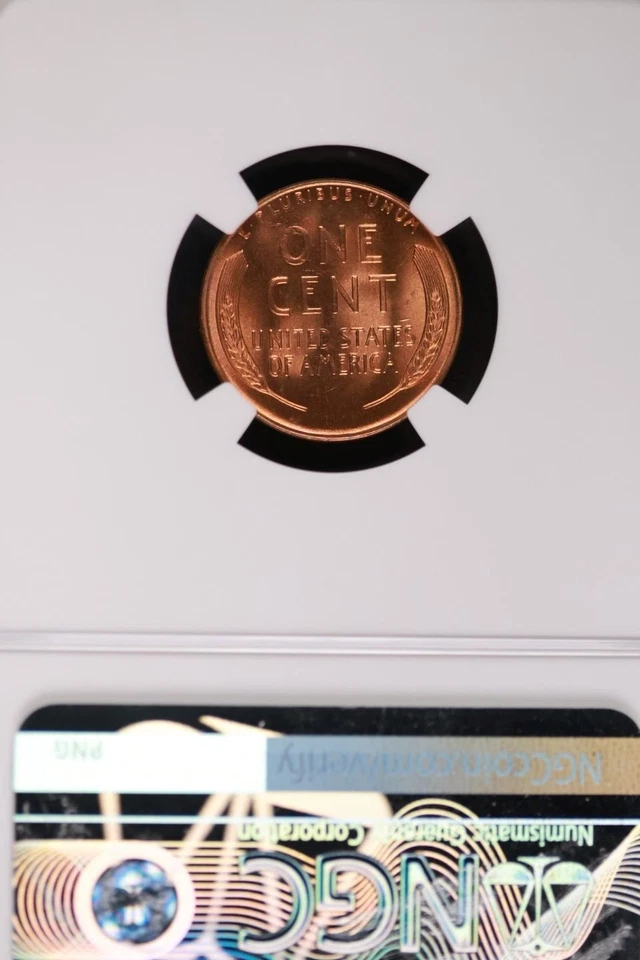 Centavo Lincoln Wheat 1955 S graduación profesional MS67RD *Dobles uniones* JL1100-394 Foto 3 de 4