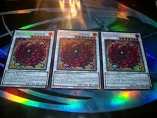 3x Black Rose Dragon Chibi Art 1st Edition Secret Rare L5DD-ENS02 Yu-Gi-Oh!