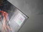 Picture 4 of 8