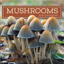 Turner Licensing,  Mushroom Photo 2026 Wall Calendar, 12'' X 12'', 12-Month Cale