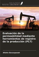 Afshin Davarpanah | EvaluacióN De La Permeabilidad Mediante Herramientas De...
