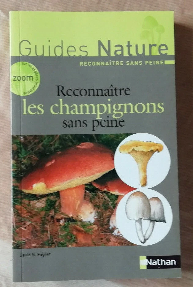 Photo 1/10