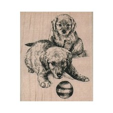 Mounted Rubber Stamp, Puppies Playing, Dogs With Ball, Retriever Puppy, Dog, Pup