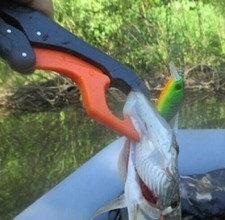 7 shad rap trick darter flap slap spin tail l minnow perch pike lure fishing