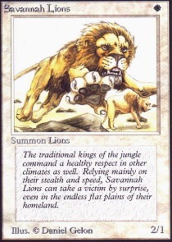 1x] Savannah Lions Near Mint, English Collectors Edition MTG Magic