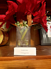 DIOR PRIVEE perfume SAKURA  BAG gift holiday Birthday travel gift set Girl   n