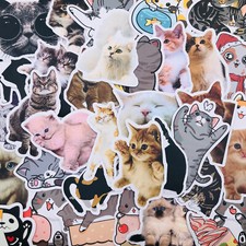 50 Cat Stickers Variety Decals For Phone Laptop Decoration Cute Kitten Adorable