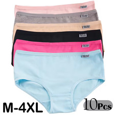 Hanes Womens 10-Pack Cotton Briefs Lady Underwear Panties Assorted Colors