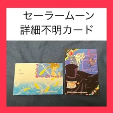 Sailor Moon Unspecified Card Set of 2
