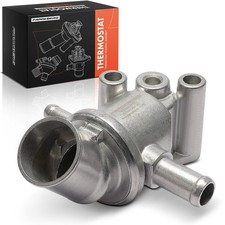Thermostat Seat TERRA