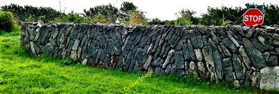 Photo 12x8 County Clare - R480 - Poulnabrone Dolmen Area - Wall at Entranc c2013