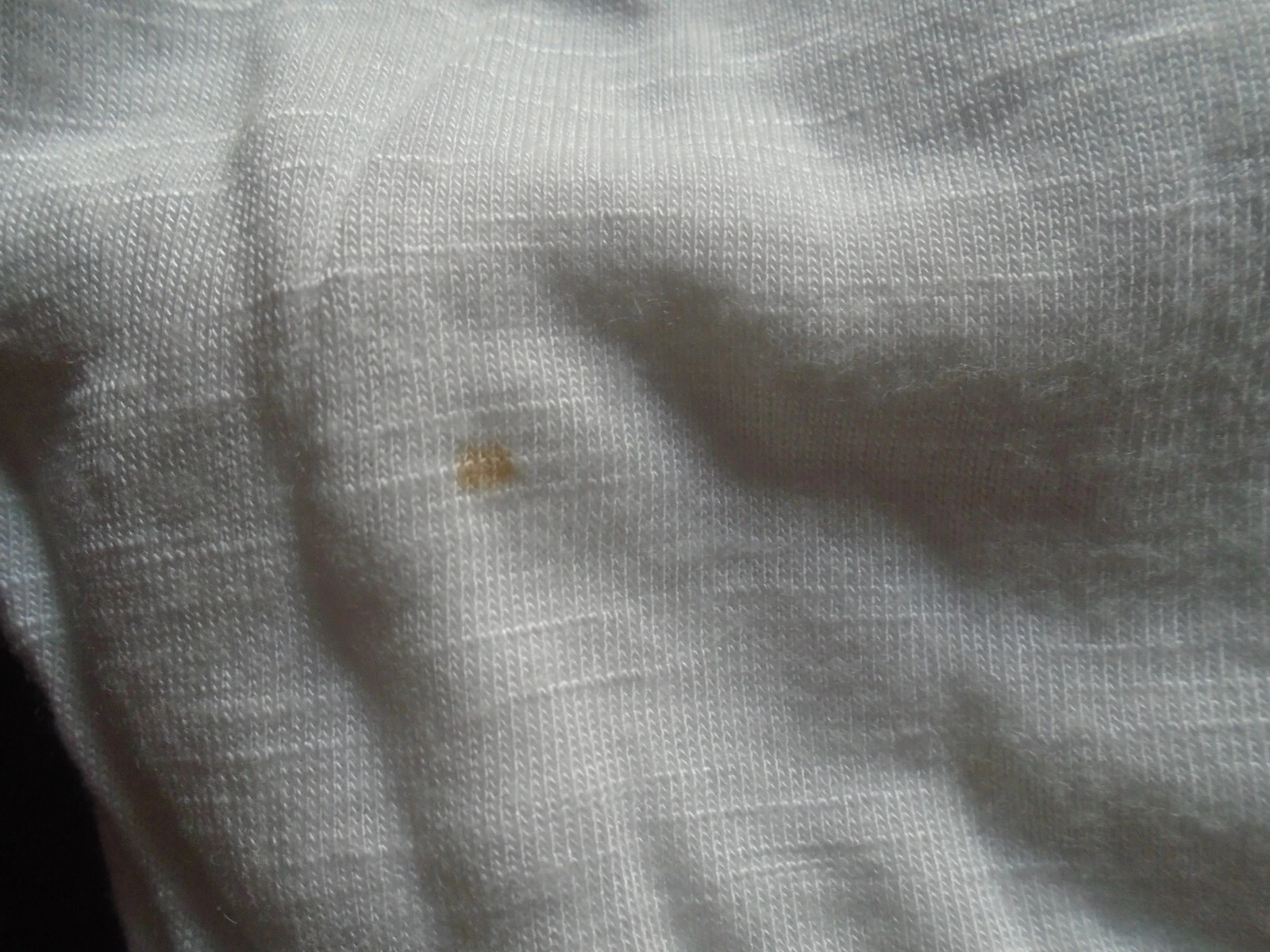 Bild 7 von 7