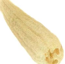 Luffa. Loofa. Sponge. Facial. Skin Care. Exfoliator natural.
