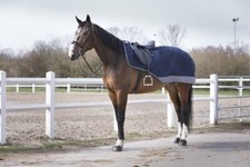 Ausreitdecke EQUI-THÈME Tyrex 600D Nierendec...