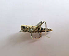 True Hopper  size 6 8 10