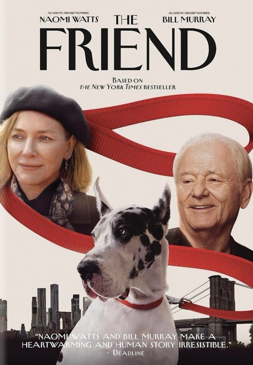 The Friend (2024) DVD, Brand New, Sealed | eBay