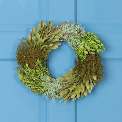 Northlight Cut Branch, Succulent Day Grass Artificial Spring Wreath, Green 14''