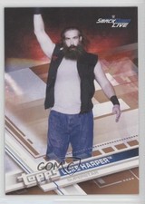 2017 Topps WWE Bronze Mr Brodie Lee Luke Harper #49 0c4