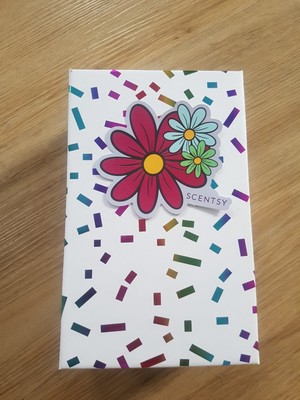 scentsy Überraschung Box
