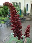 Bild 4 von 7
