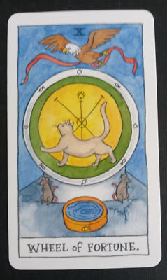 2019 Cat Tarot Card By Megan Lynn Kott X Wheel Of Fortune | eBay