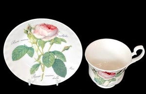 Roy Kirkham 1996 "Redoute Roses" Teacup & Saucer Set, Fine Bone China