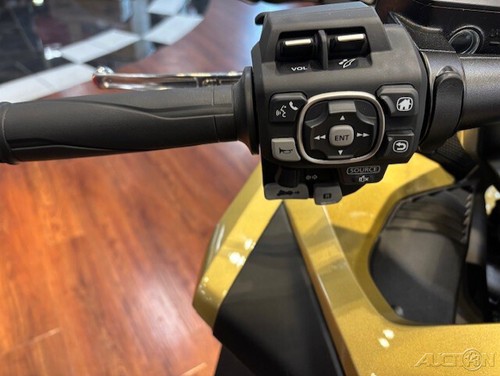 2025 Honda Gold Wing Tour 50th Anniversary - Picture 9 of 12