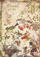 A/4 Rice Paper for Decoupage Scrapbooking Forest flowers and fruits