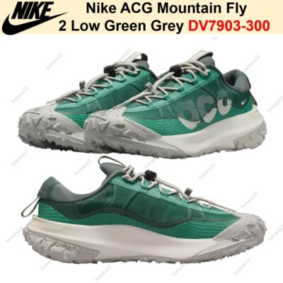 靴 NIKE ACG MOUNTAIN FLY 2 LOW 28cm Nike ACG Mountain Fly 2 GORE-TEX Low Phantom Light Silver - HF6245
