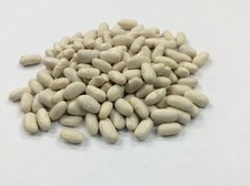 Cannellini Beans A Grade Premium Quality Free UK P&P