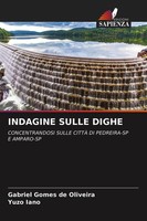Indagine Sulle Dighe Concentrandosi Sulle CittÀ DI PEDREIRA-SP E AMPARO-SP Buch