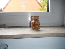 Incense: A Glass of Classic Incense