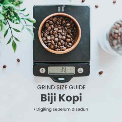 coffee Robusta Gayo Aceh Coffee Roast Bean Espresso Beans 100 or
