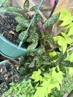 Bild 4 von 4