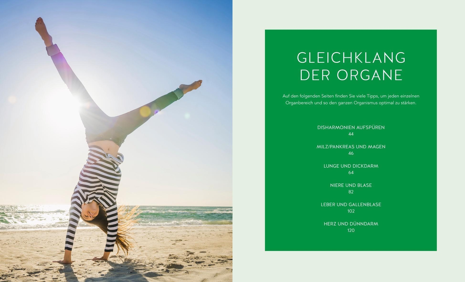 Thumbnail - Organbalance Dagmar Hemm