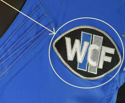 Detroit Lions Thermocollant Patch : Wcf (En Honor William Clay Ford Ancien Owner - Photo 1 sur 12